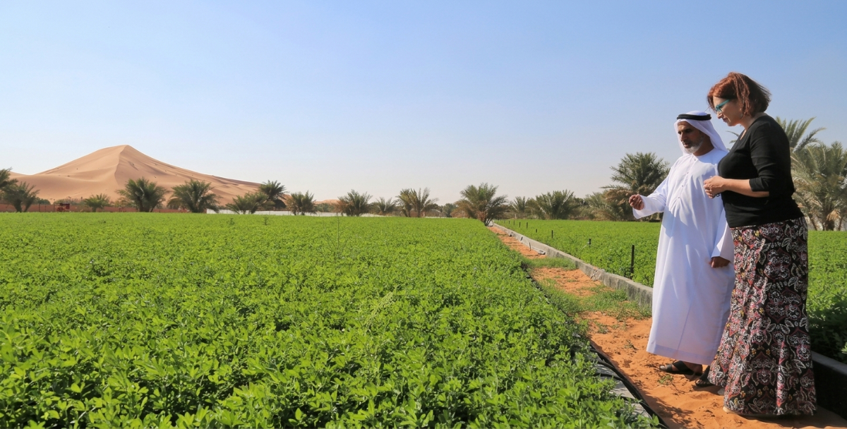 How to Start an Agricultural Trading Business in Dubai